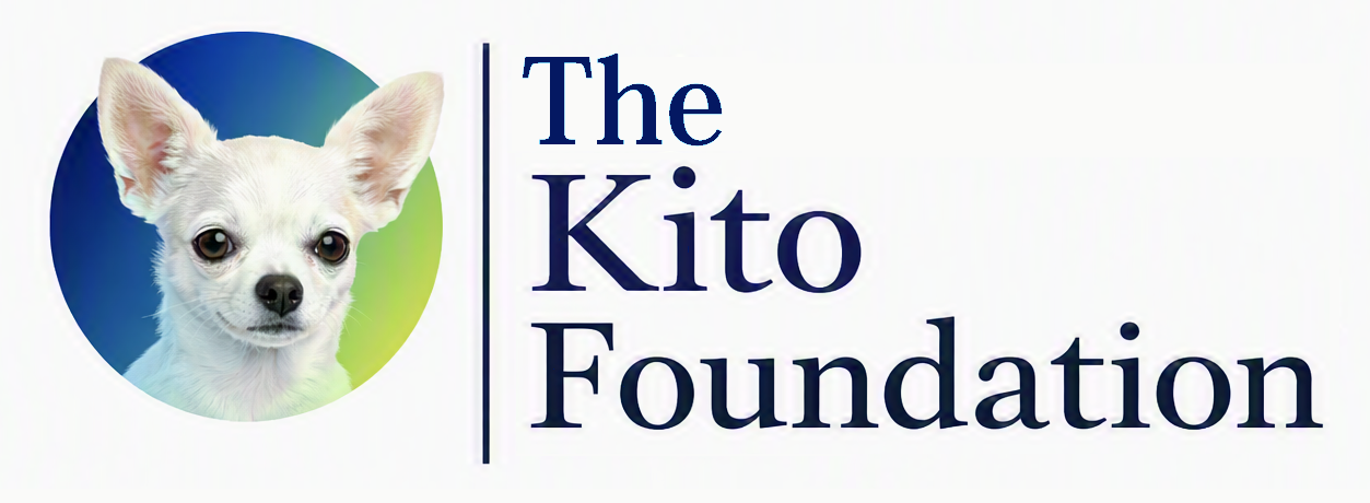 The Kito Foundation