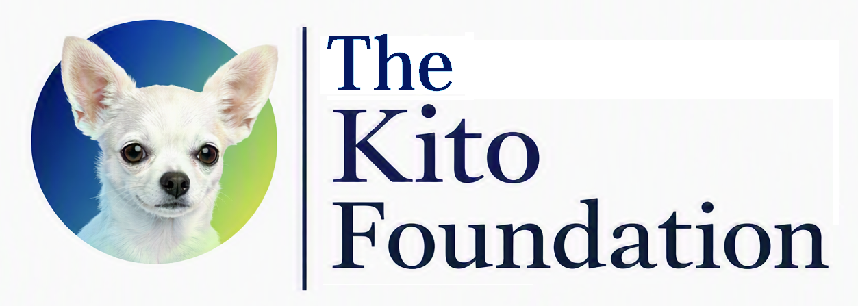 The Kito Foundation